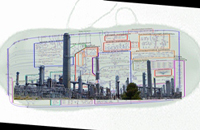 11 Bakterien als Fabrik