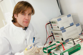 Translationsforschung: Prof. Dr. Pietschmann und sein Team suchen am Twincore nach neuen Therapieansätzen gegen Hepatitis-C. Bild: HZI