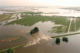 Deichbruch südlich der Elbe bei Seegrehna. Foto: Andre Künzelmann/UFZ