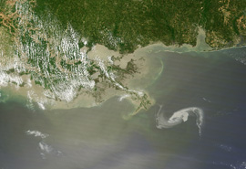 Der massive Ölteppich im Golf von Mexiko bewegt sich auf das Mississippi Delta zu. Bild: NASA