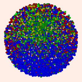 Modell der Verteilung von Lymphknoten. Die dunkle Zone ist da, wo es dominant blau ist, die helle, wo es dominant grün ist. Bild: HZI