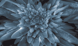 Der neue Celitement-Zement spart Energie und CO2. Bild: KIT