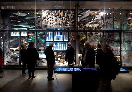 Natural History Museum Berlin. Photo: André Künzelmann/UFZ