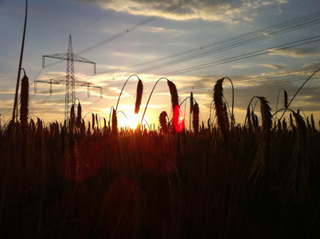 Photo: André Künzelmann, UFZ
