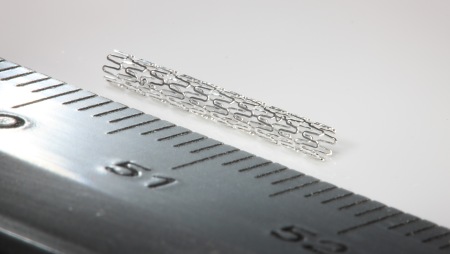 Photo Magnesium Stent
