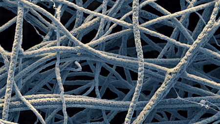 Nanofibres photo