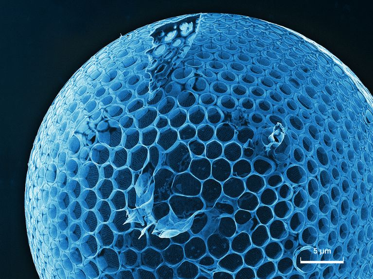 Blick in unbekannte Nano-Welten