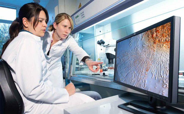 Suchen neue Antibiotika Auch am Helmholtz-Zentrum für Infektionsforschung wird an Myxobakterien geforscht; hier betrachten Diana Telkemeyer (links) und Birte Trunkwalter eine Kultur unter dem Mikroskop.