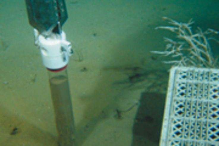 de: Experimente im Bereich des AWI-Hausgarten. Entnahme von Sedimenten, die, geschÃ¼tzt durch KÃ¤fige, vier Jahre keiner StrÃ¶mung unterworfen waren.en: Experiments at AWI Hausgarten. Sampling of sediments protected to disturbances for four years by plastic cages.