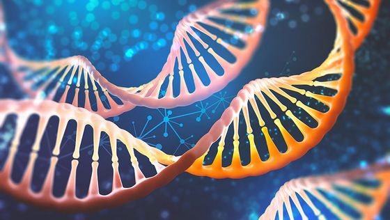DNA Helix Shutterstock