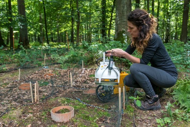 TERENOBeschreibung: Versuchsgelände Hohes Holz bei Eggenstedt mit Eddy-Turm und Klimamessung, 2014Inmaculada Garcia Quieros, Bodenatmungsmessung