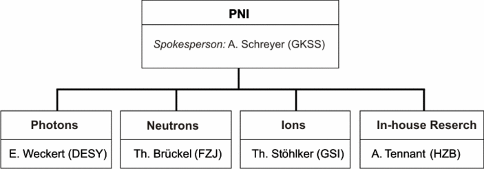 Organisationsschema des PNI-Programms