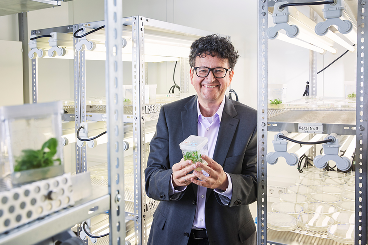 Holger Puchta in the air-conditioned cultivation room in the basement of the JKIP at KIT. Image: Sandra Göttisheim/KIT