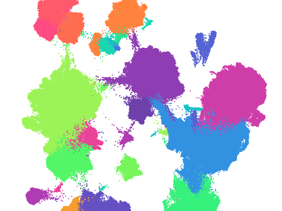 Molekulare Landkarte der Lunge