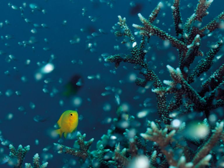 HP Jan17 Wissenschaftsbild 670x355px