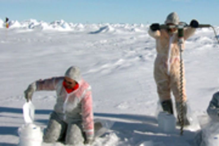 Mit der Zeit adaptieren sich die Forscher auch farblich an ihre Umgebung Probennahme auf der Scholle. Foto Alfred- Wegener-Institut (Arktis oder Antarktis??)