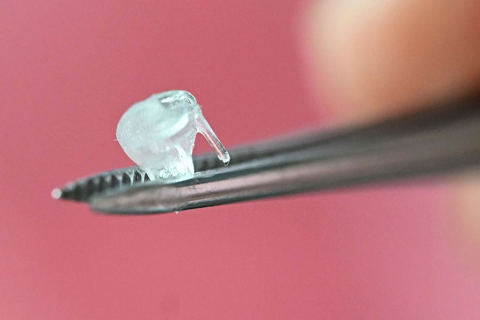 Transplantate aus dem 3D-Drucker