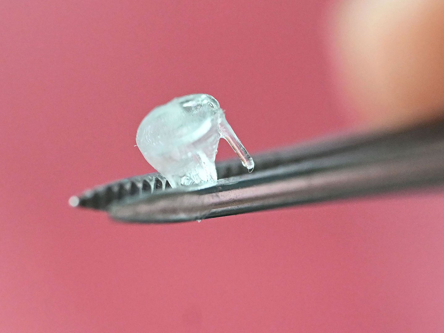 Transplantate aus dem 3D-Drucker