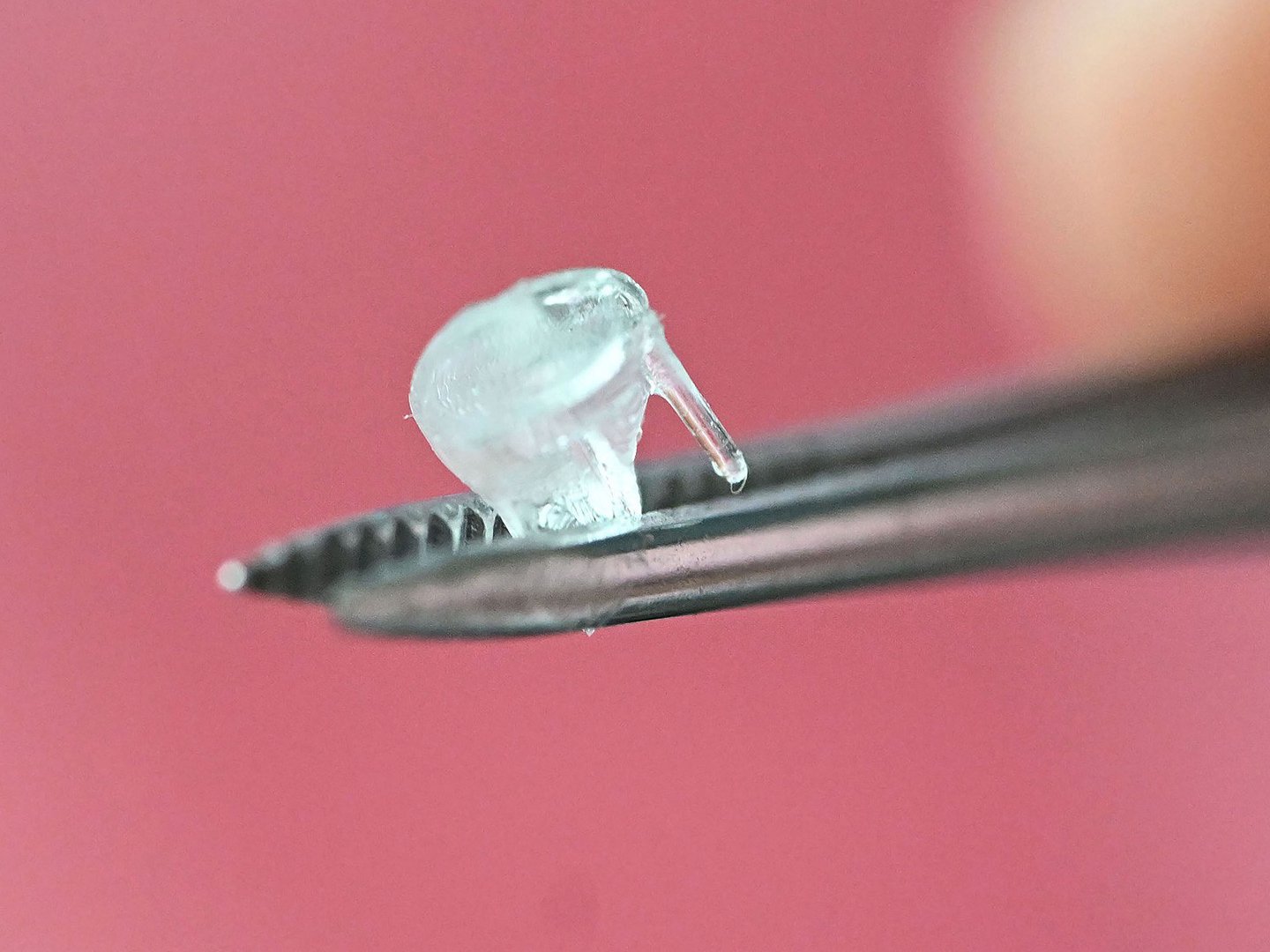 Transplants from the 3D printer