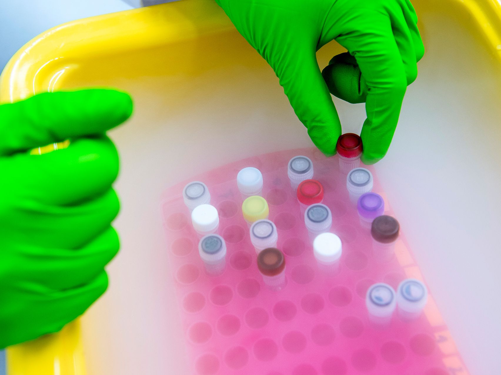 Helmholtz intensifies prevention research