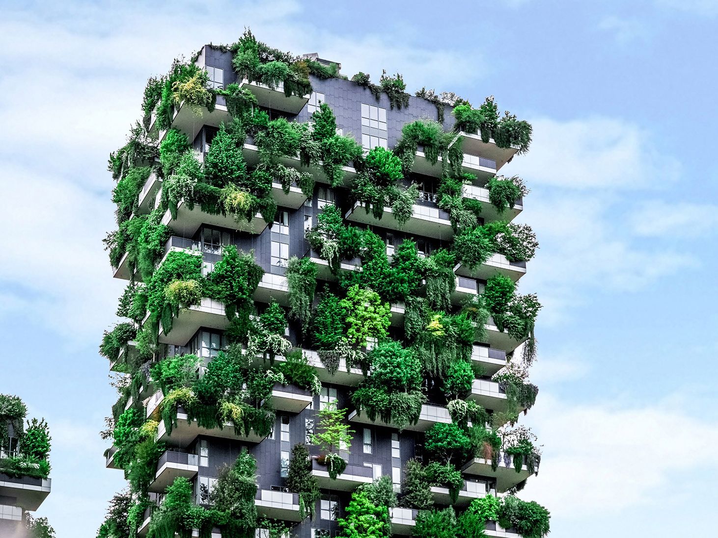 The future of building