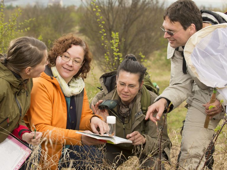 Schmetterlingsmonitoring mit Unterstützung des UFZ/Citizen Science/v.l.n.r.:Gitte Hornemann, Elisabeth Kühn, Birgit Metzler und Martin Wiemers beim SchmetterlingsfangTagfalter-Monitoring Deutschland