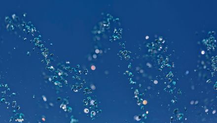 Alt-Tag des Bildes aus der Dateiliste