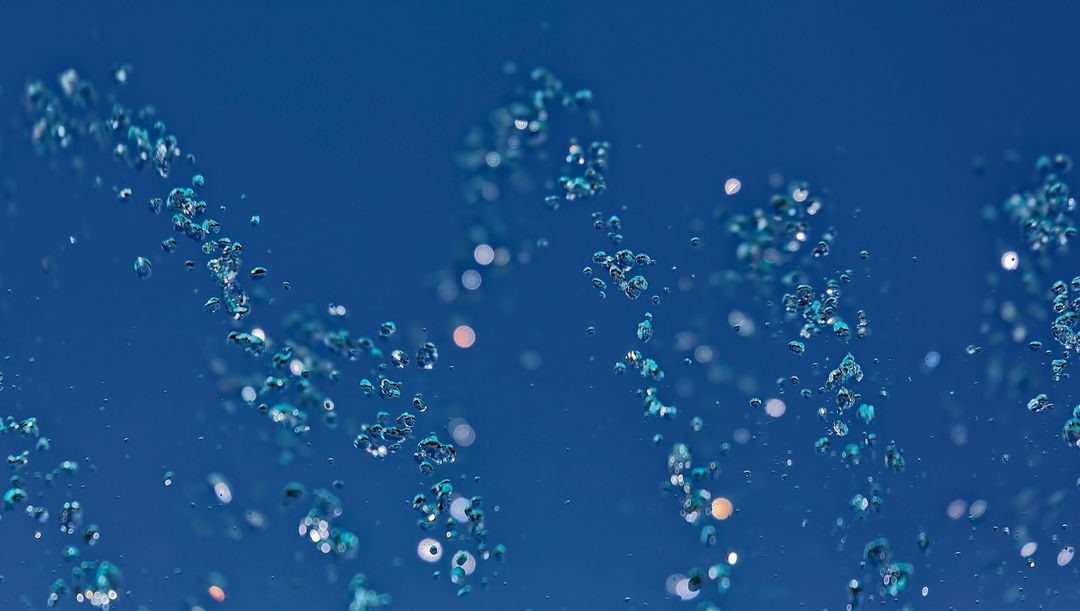 Alt-Tag des Bildes aus der Dateiliste