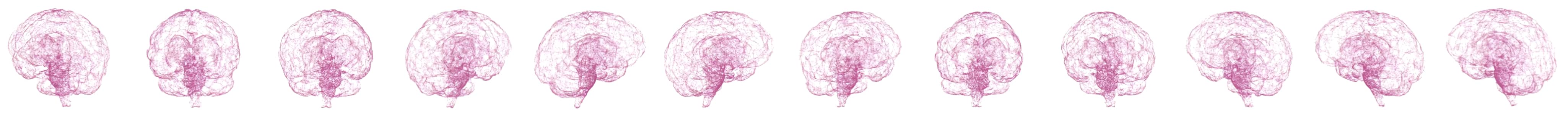 Bild eines rotierenden Gehirns