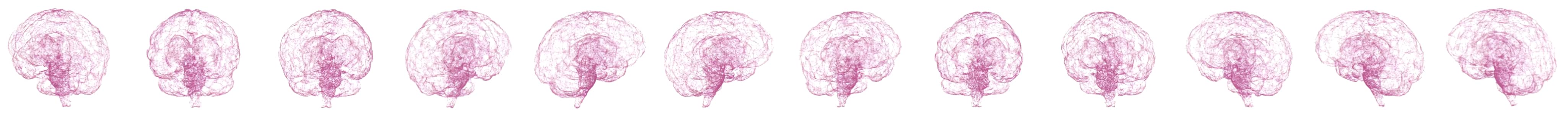 Image of a rotating brain